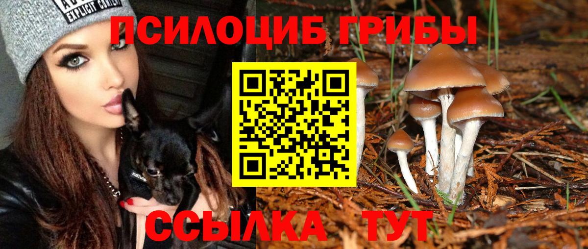 Галлюциногенные грибы мицелий Дедовск