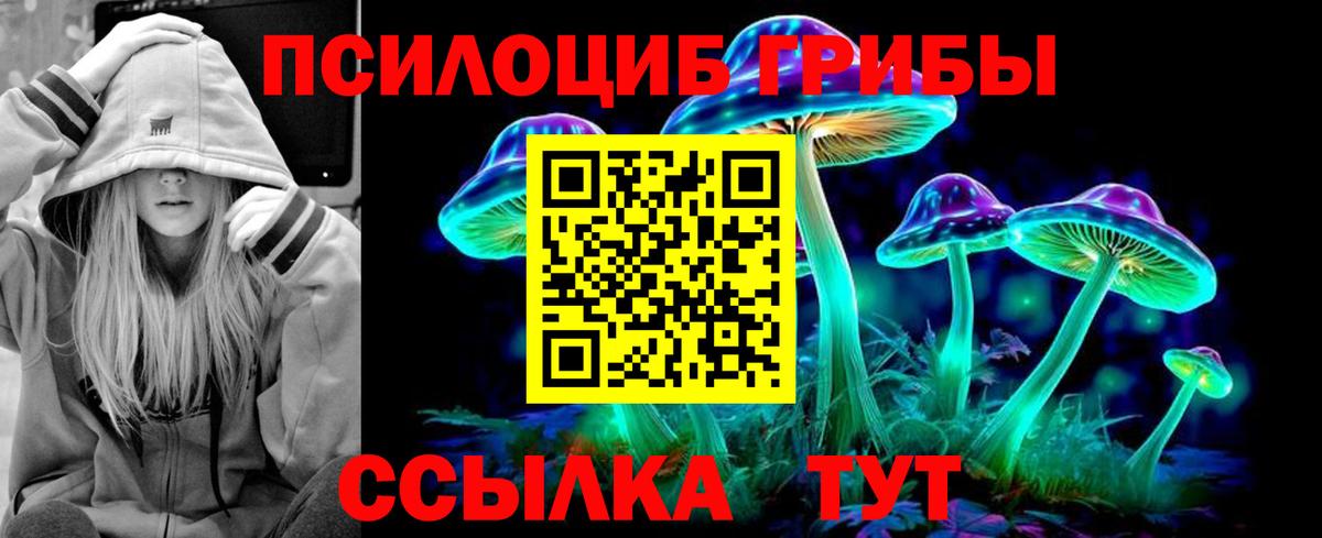 Псилоцибиновые грибы Psilocybine cubensis  Вход с VPN  Дедовск 